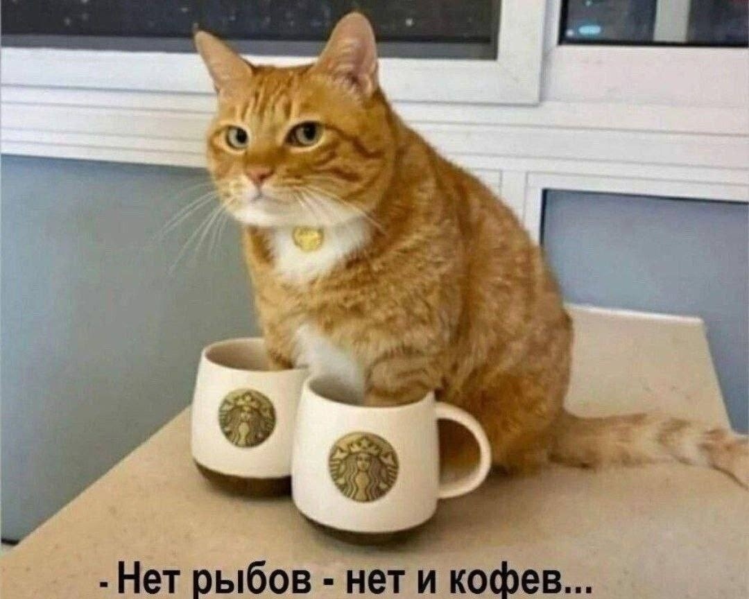 gugumot в LOOKY — Стихотворение для настроения!
Вторник. Утро. День погожий,
В