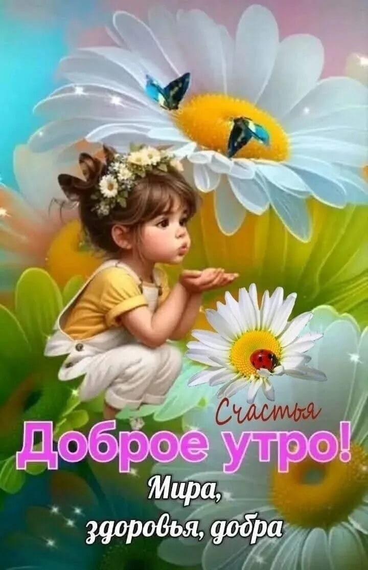 Киса в LOOKY — публикация