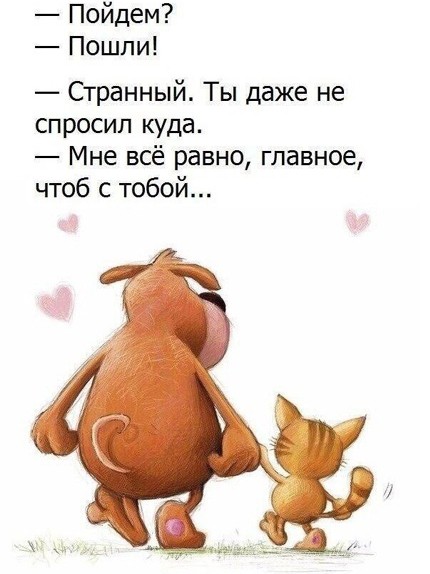 Shamil в LOOKY — фото 1