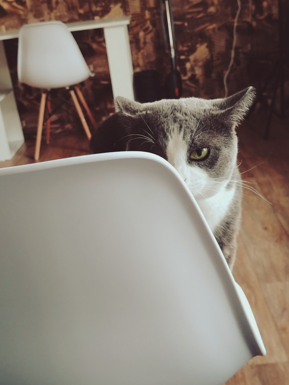 Вика Наумова в LOOKY — фото 3