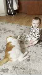 lidia_urivskaya в LOOKY. . 
