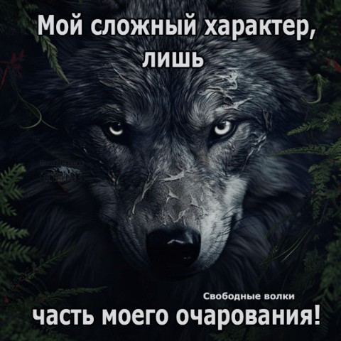Looky_1695643157649 в LOOKY. . 