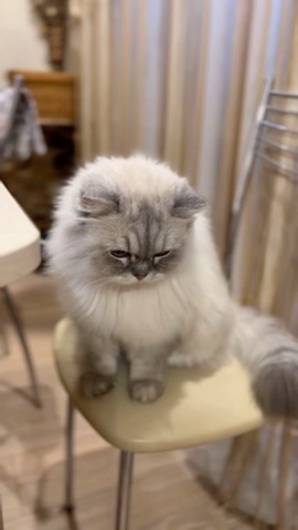 taik19.12.19 в LOOKY. . Любимый сынок😻