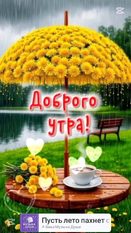 Sachabelyi56 в LOOKY — публикация