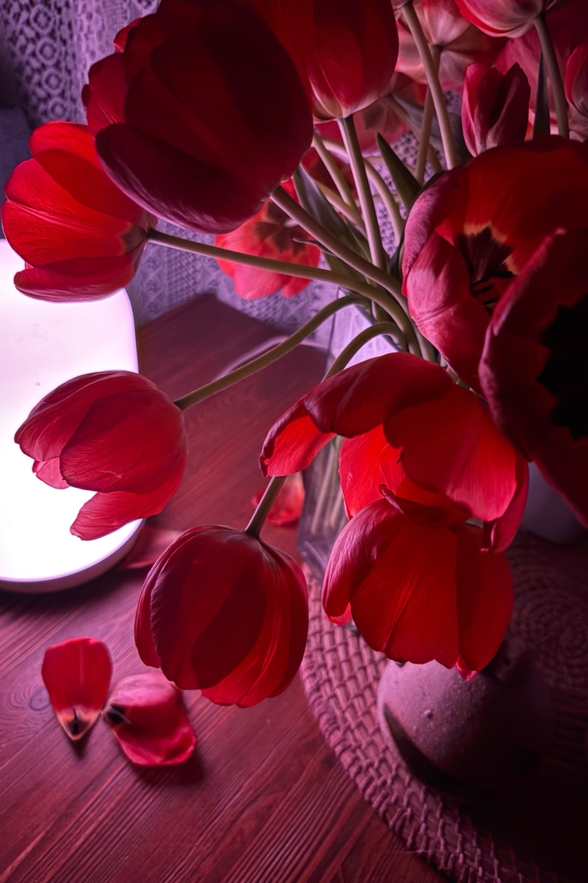 Тихое присутствие весны… 🌙