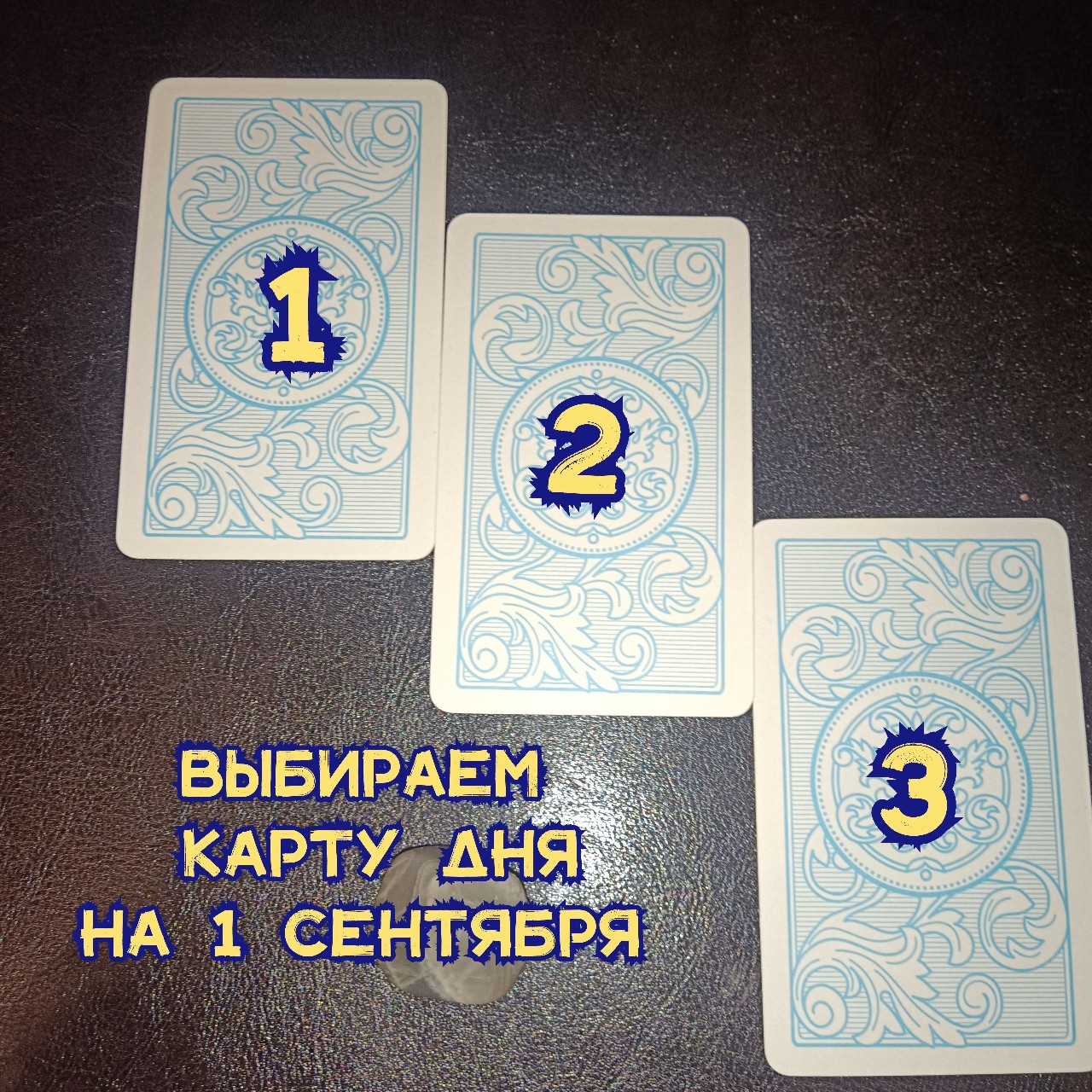 Marina_m_taro