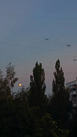 _x_di_moon_x_ in LOOKY. . 