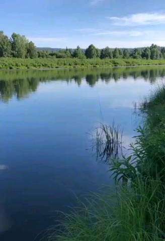 sveta_leta в LOOKY. #река-матушка,#краса,#родныепросторы. #река-матушка
#краса...