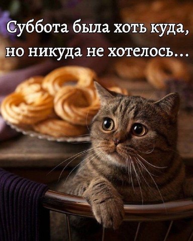 Аля Бик в LOOKY. . 