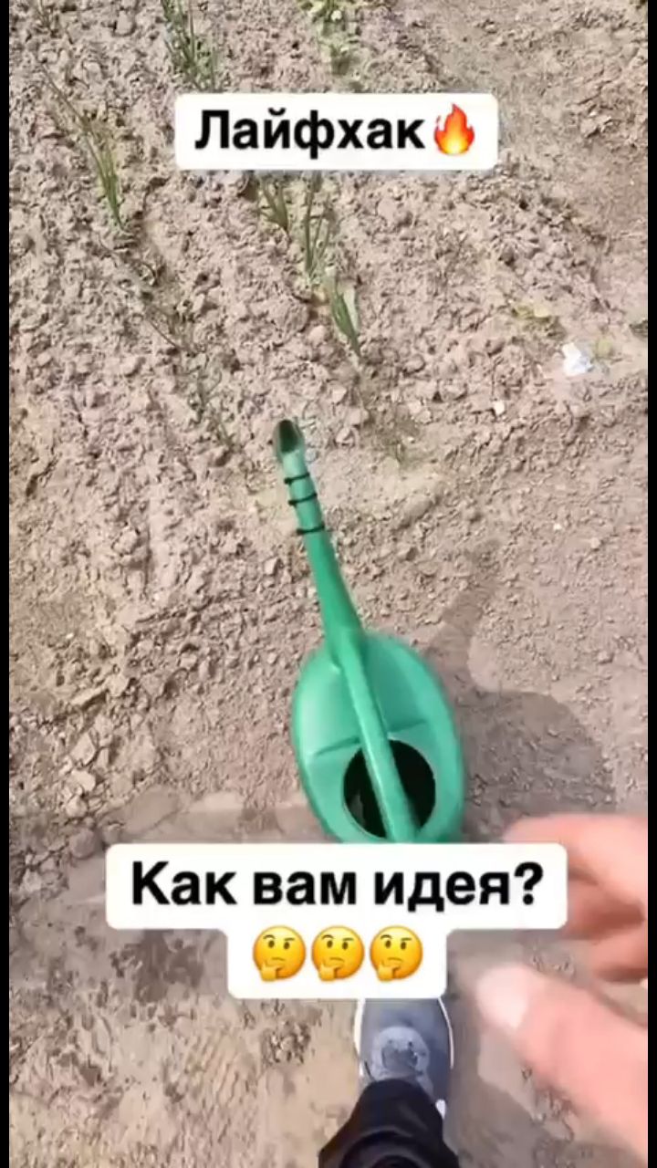 Garden_and_vegetable_garden в LOOKY — https://max.ru/join/GwIe_oVzcsCudVOHHOu022UMv9o9d6l8Wij7mSek