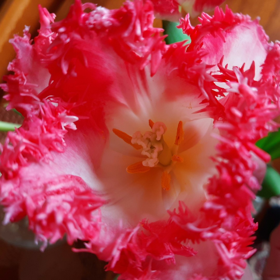 Irisk903 в LOOKY — публикация