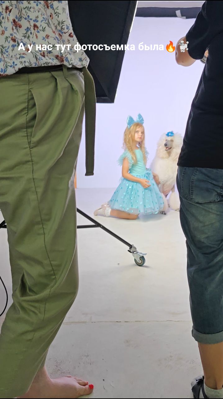 Наталья в LOOKY. #пудель,#пудельстандарт,#пудельбольшой,#королевскийпудель,#пуделькороль,#пудельфото,#фотоспуделем,#пудельщенки,#пуделькобель,#пудельвязка,#пудельчерный,#пудельбелый,#большойпудель,#купитьпуделя,#пудельРоссия,#пудельЛипецк. Викси Сильвер Фокс �...