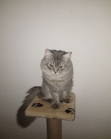 Looky_1693530249589 в LOOKY. . [#экоперспектива](эк...