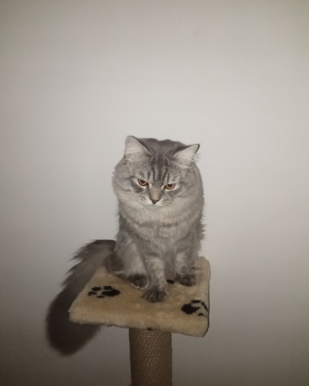 Looky_1693530249589 в LOOKY — [#экоперспектива](экоперспектива) 