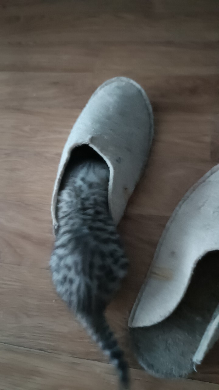 Корнева Марина в LOOKY — фото 2