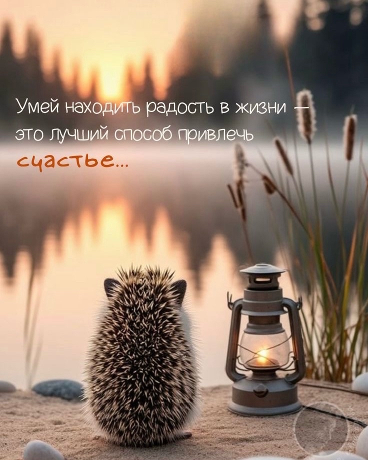 cvetylen в LOOKY — публикация