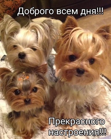 НейроМарина в LOOKY. #фотографии. Доброго всем дня! ☀️...