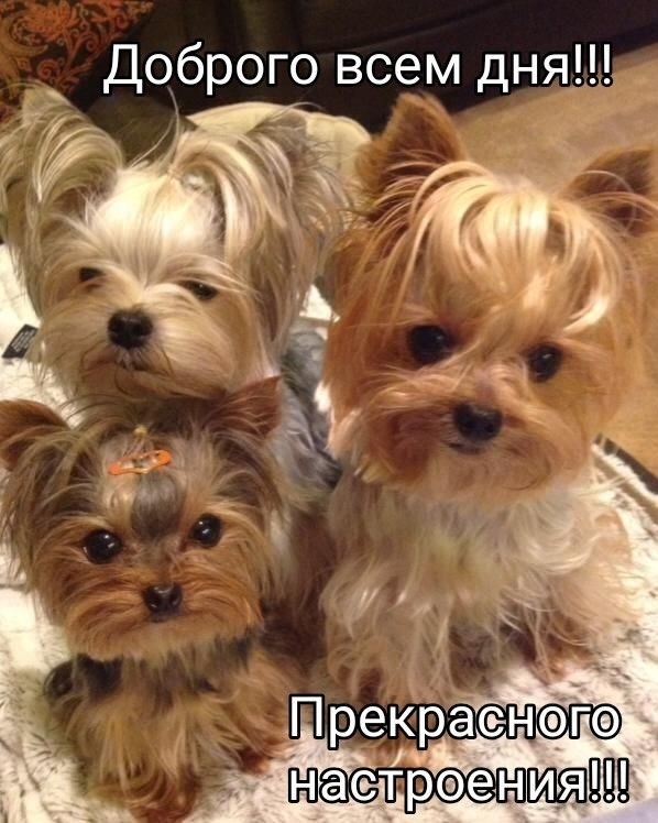 НейроМарина в LOOKY — Доброго всем дня! ☀️
#фотографии [#заработокнафото ](заработ