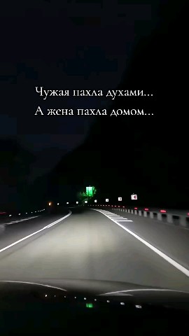 ВОЛК СЕРЫЙ