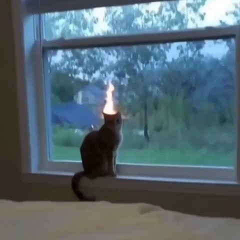 max.im867 в LOOKY. . У всех иногда такое ...