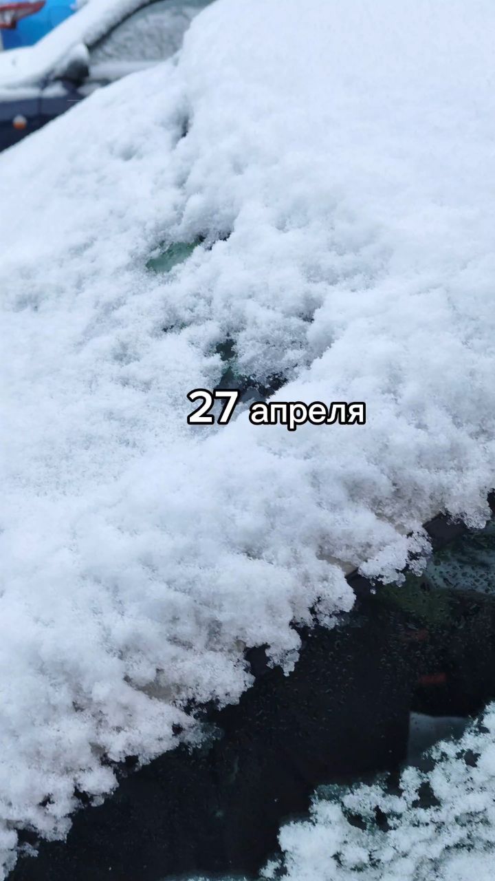 nezabudk_a1 в LOOKY. #снежныйапрель. Ну хотя бы в апреле....