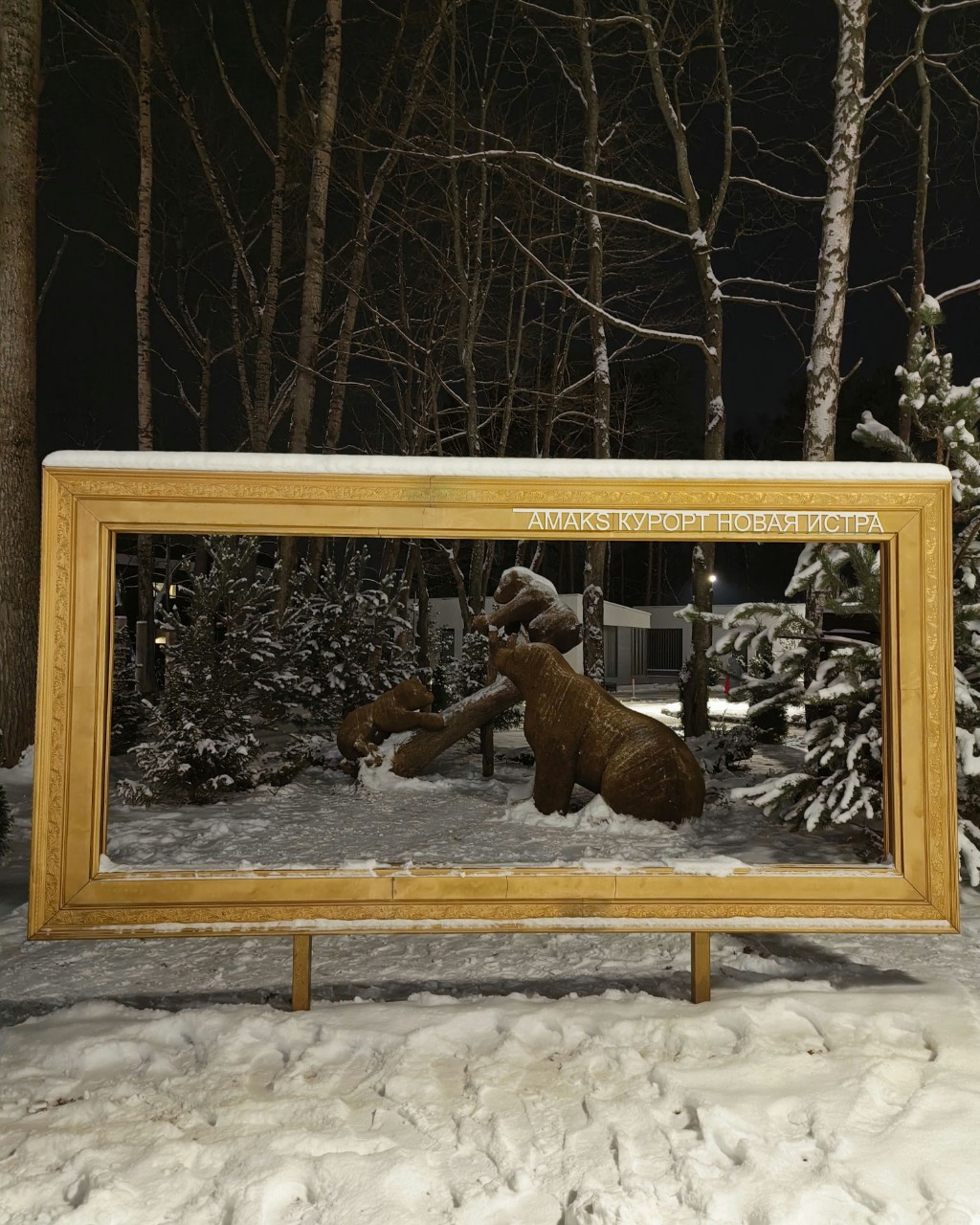 fotofairytale79