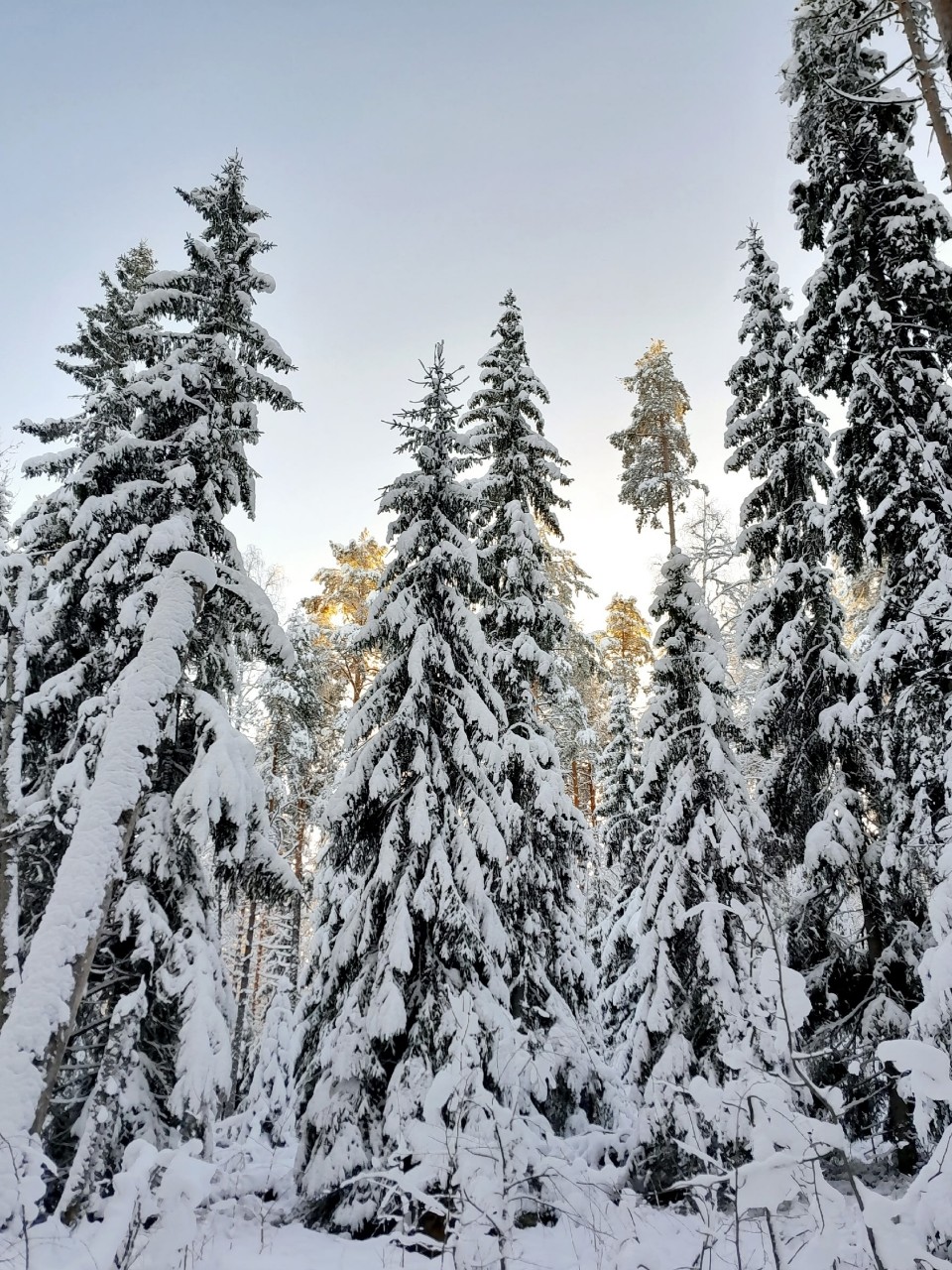 Виктор в LOOKY — фото 3