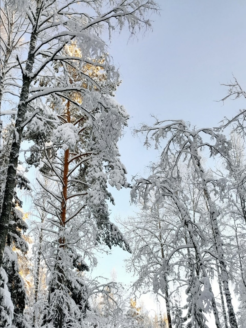 Виктор в LOOKY — фото 2