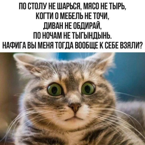 Evgeniy_Smexov в LOOKY. . 