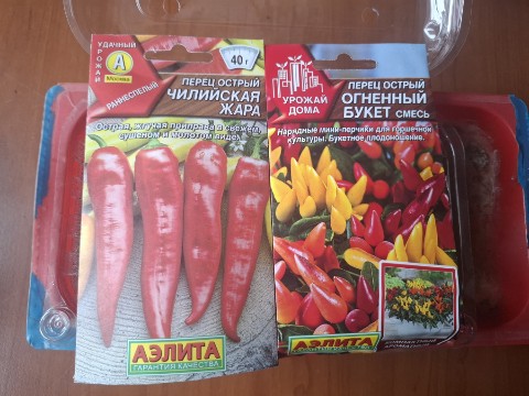 dachnyedela в LOOKY. #Любимая_дача🏡,#Дачные_дела📑,#Дача_как_много_в_этом_слове,#Огороднический_успех🍓,#Дачный_сезон_2025,#ДД_семена,#ДД_острый_перец,#Перец,#ДД_Аэлита,#Аэлита,#Острый_перец. Посеяла перец острый...