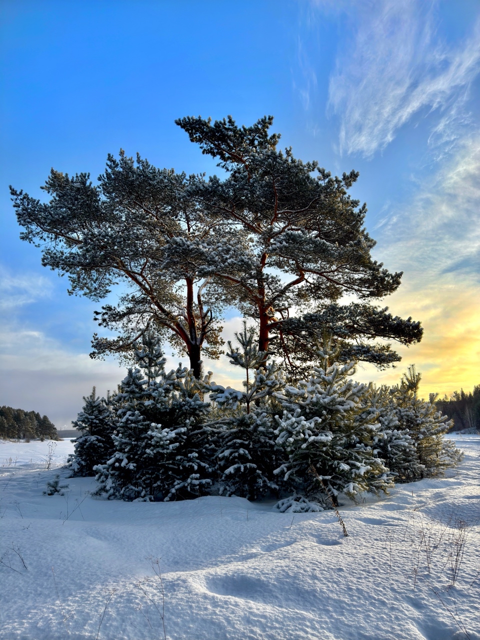 Уральские зарисовки.

#walk_on_russia #Russia_Global #russia_pics #урал #роднойурал
#photorussia #фотодляРоссии
#russia_fotolovers #rus_places  #landofural #russ_beauty #foto_ural #uralinsta 
#geo_russia #krasivaru 
#etonashural