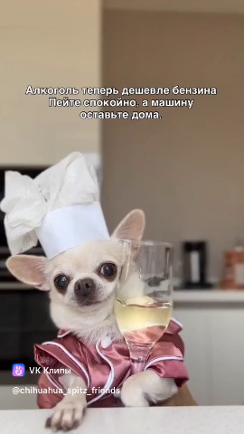 БезАптек в LOOKY. #прикол,#мем,#юмор. #прикол #мем #юмор