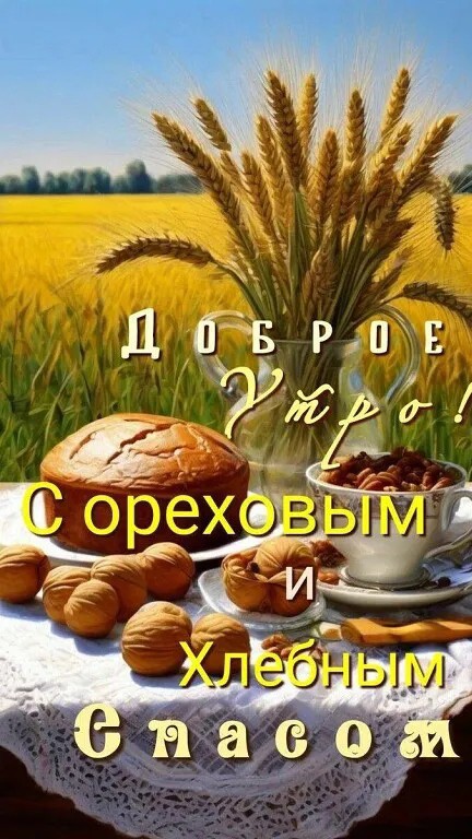 Сириус в LOOKY — публикация