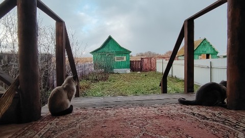 Looky_1721821026361 в LOOKY. #дача,#дачазг,#ноябрь,#котиклямур,#котиксаймон,#снег. Ура! Выходные!
#дача...