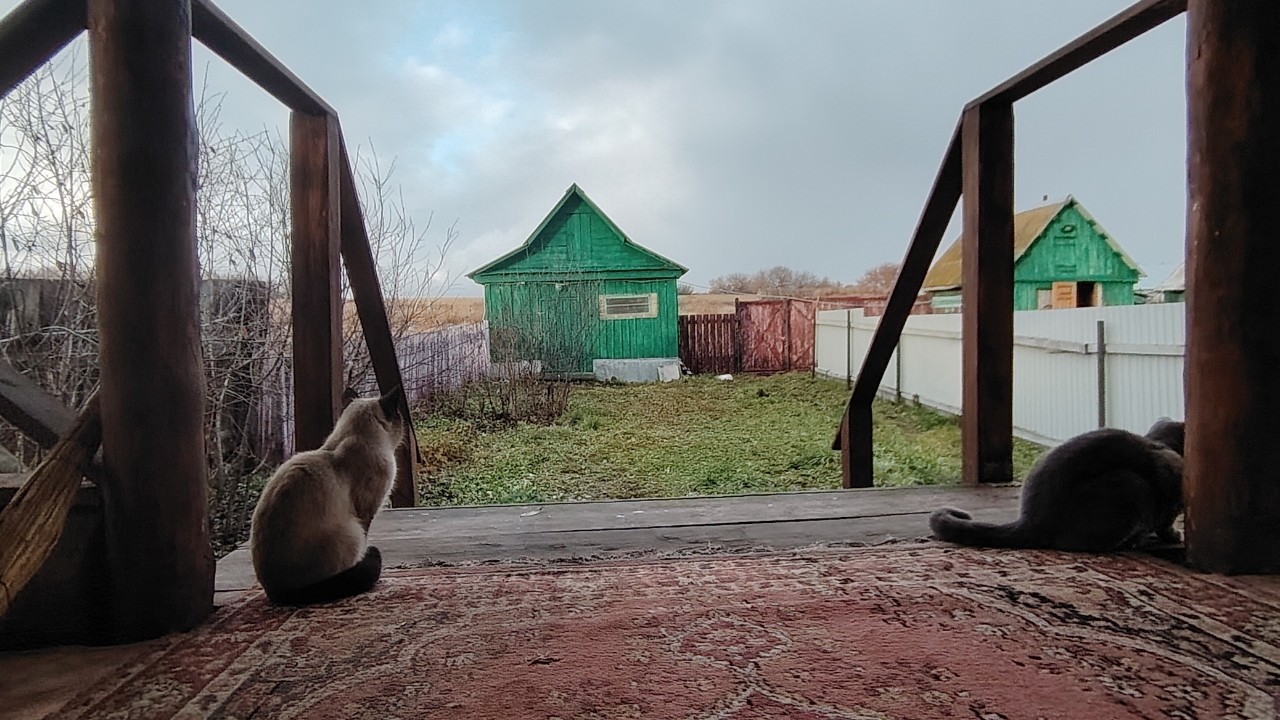 Ура! Выходные!
#дача #дачазг #ноябрь #котиклямур #котиксаймон #снег
