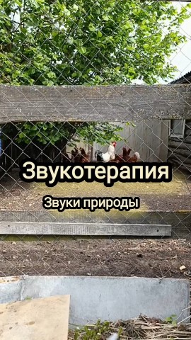 Светлана Сироткина в LOOKY. . Проснуться под звонк...