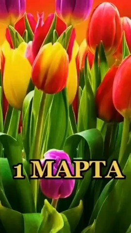 Наталья