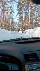 Алексей Усанов в LOOKY. . Солнечный денёк на г...
