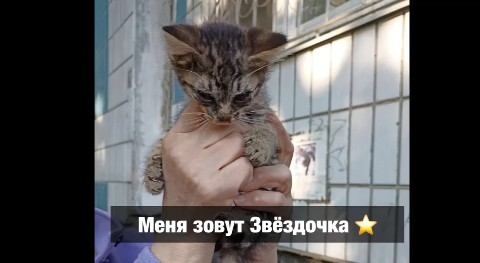 Looky_1674502556711 в LOOKY. . ‼️Наши реквизиты ‼️
...