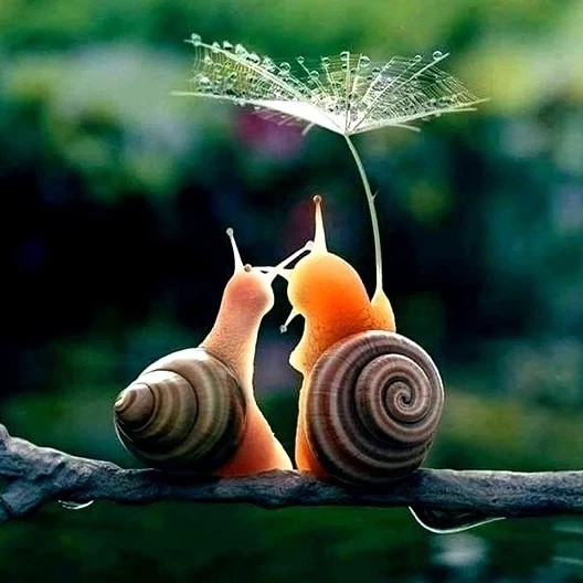 Mokucinn in LOOKY. . Осени Запах...
В Вет...
