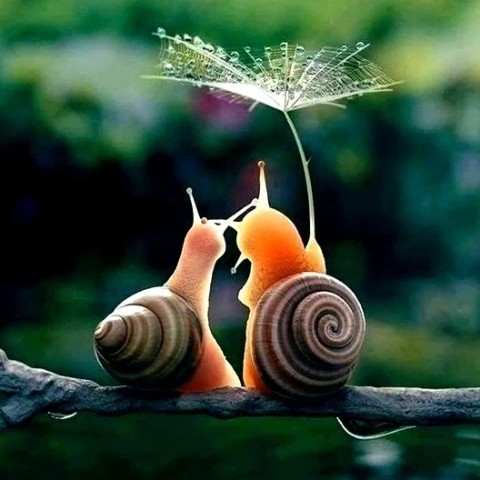Mokucinn в LOOKY. . Осени Запах...
В Вет...