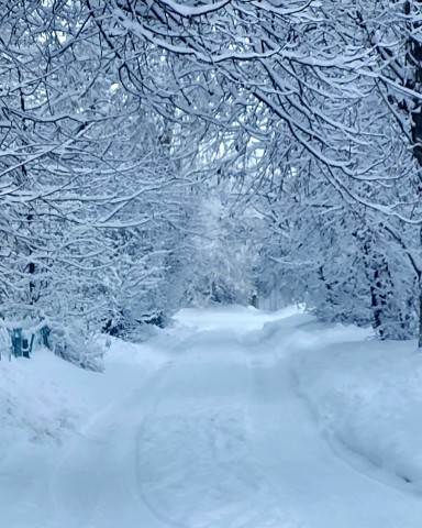 Nayeon в LOOKY. . [#winter ](winter)#s...