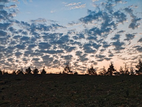 poboruev_landscape в LOOKY. #природа,#закат,#рассвет,#утро,#вечер,#небо,#облака,#фотонателефон,#фотонамобильный,#мобильноефото,#nature,#landscape,#sunset,#sunrise,#morning,#evening,#sky,#clouds,#лупа,#фото,#фотоманитнас. Забугорные рассветы,...