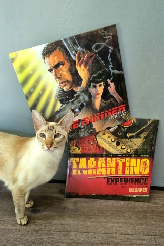 dark_amerika в LOOKY. #tarantino,#пластинки,#бегущийполезвию,#тарантино,#ориентал,#oriental. Виниловые пластинки ...