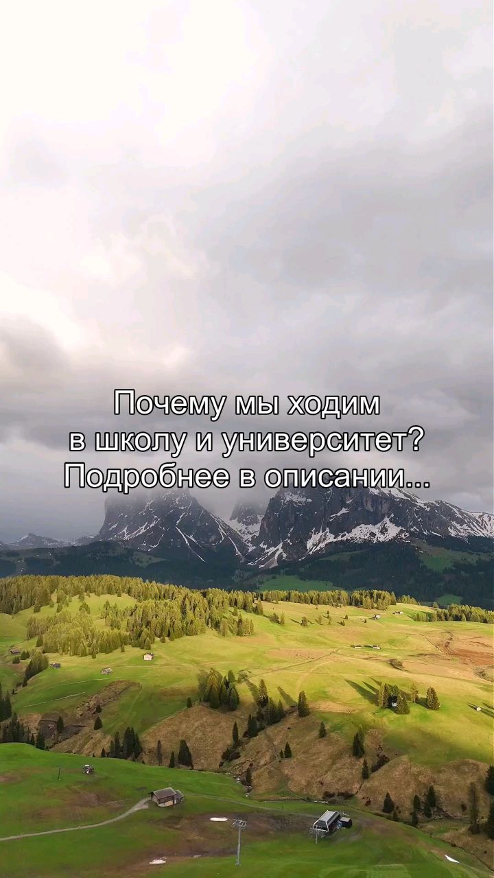 Oleg_teem в LOOKY — Ты ходил в школу. Ты ходил в университет. Ты думаешь, что эт