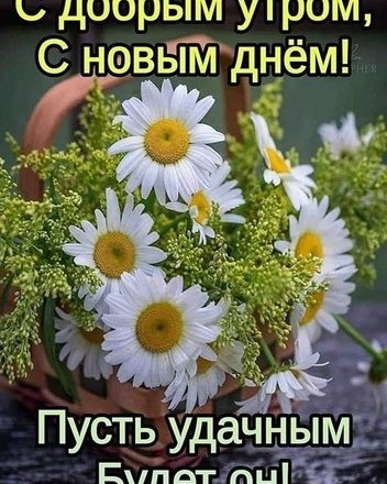 Looky_1689564190874 в LOOKY. . 