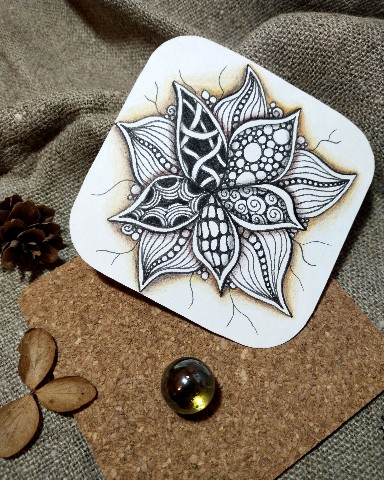 filatoffz_art в LOOKY. #цветы,#весна. В ожидании весны рис...