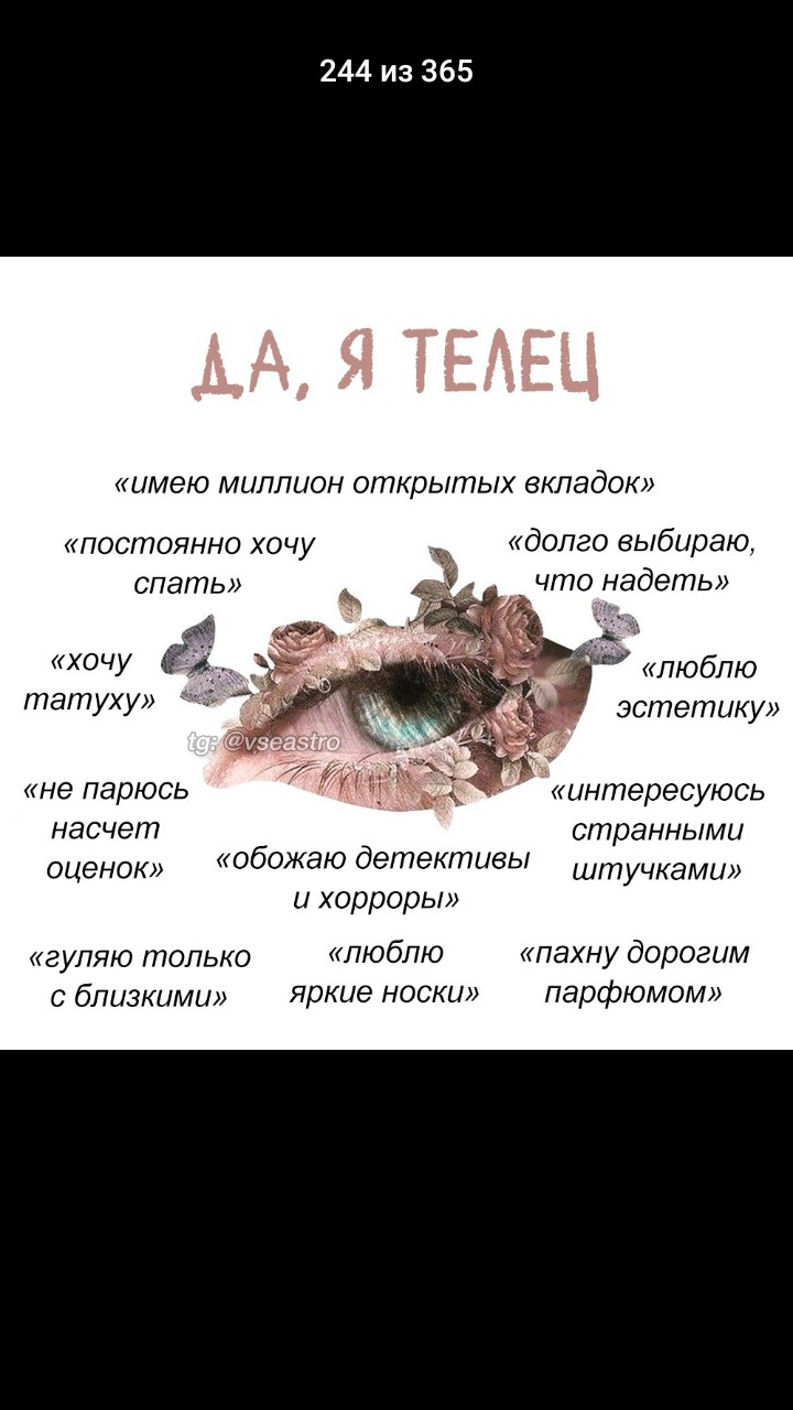 Светлана in LOOKY. . 
