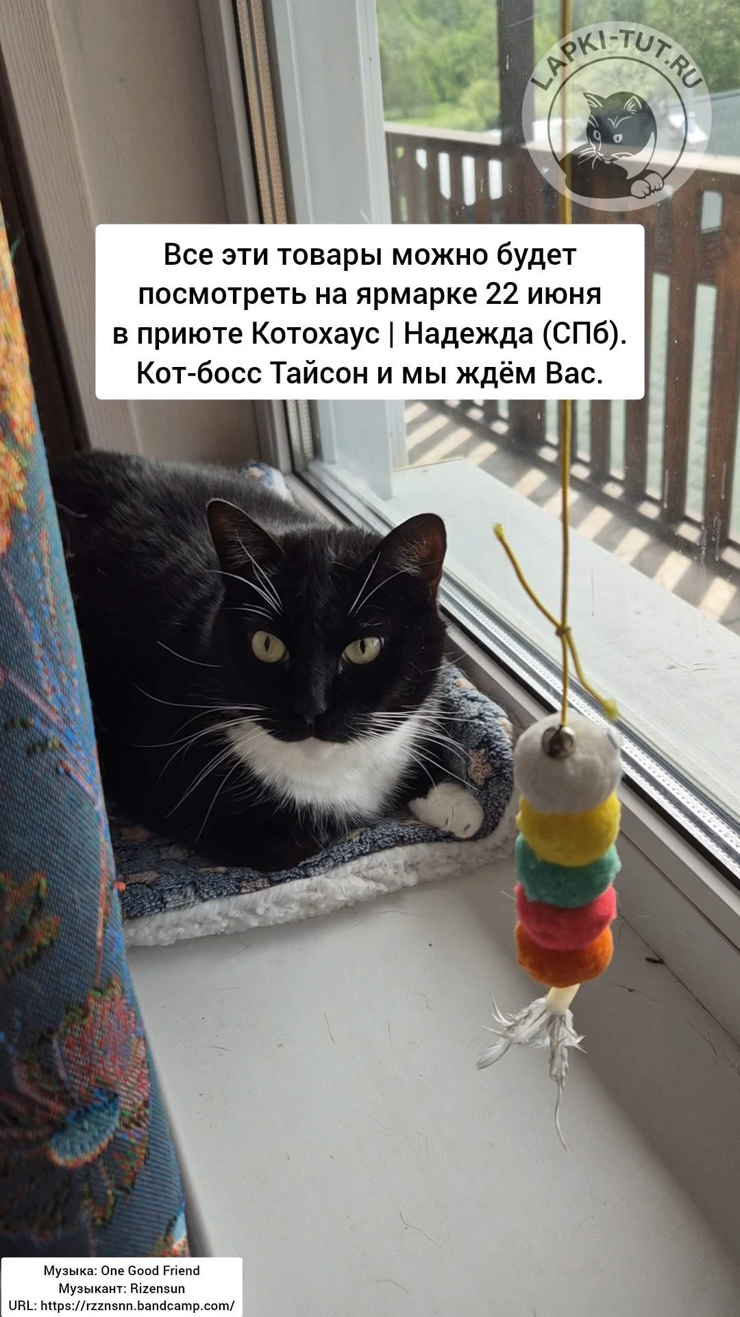 lapkitutru в LOOKY. #лапкитут,#ярмаркамастеров,#изделияручнойработы,#деревяннаяпосуда,#когтеточки. Ждём всех на ярмарке...