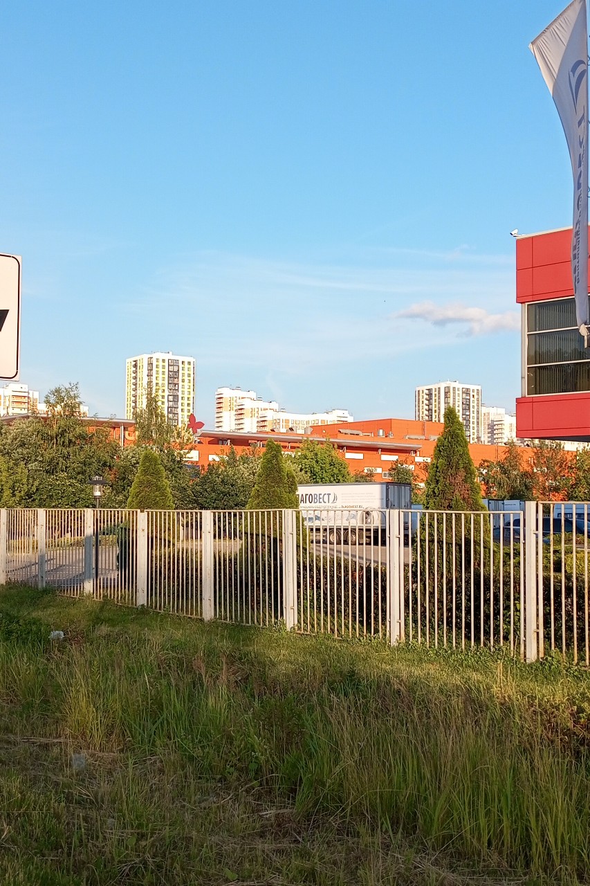Olguita в LOOKY — фото 2